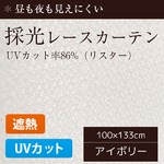 採光レースカーテン/目隠し 【2枚組 100×133cm/リスター】 UVカット機能付き 遮熱 遮像 洗える