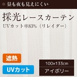 採光レースカーテン/目隠し 【2枚組 100×133cm/リレイダー】 UVカット機能付き 遮熱 遮像 洗える