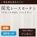 採光レースカーテン/目隠し 【2枚組 100×198cm/リレイダー】 UVカット機能付き 遮熱 遮像 洗える