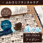 ラグ 200×250cm 長方形 アイボリー 洗える ラグマット ホットカーペット対応 床暖房 秋用 冬用 カフェラグ