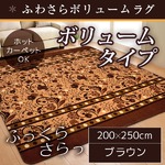 ラグ ボリュームタイプ 200×250cm 長方形 ブラウン ラグマット ホットカーペット対応 床暖房 秋用 冬用 サラサボリュームラグ