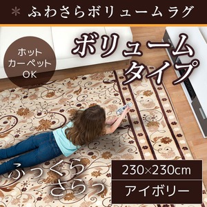 ラグ ボリュームタイプ 230×230 正方形 アイボリー ラグマット ホットカーペット対応 床暖房 秋用 冬用 サラサボリュームラグ