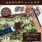 ラグ ボリュームタイプ 230×230cm 正方形 グリーン ラグマット ホットカーペット対応 床暖房 秋用 冬用 フォリアボリュームラグ