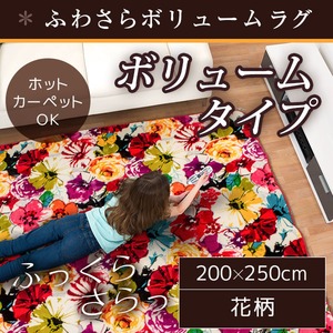 ラグ ボリュームタイプ 200×250cm 長方形 アイボリー ラグマット ホットカーペット対応 床暖房 秋用 冬用 ボタニカルボリュームラグ