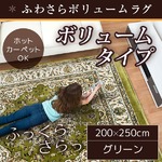 ラグ ボリュームタイプ 200×250 長方形 グリーン ラグマット ホットカーペット対応 床暖房 秋用 冬用 エルバボリュームラグ