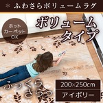 ラグ ボリュームタイプ 200×250cm 長方形 アイボリー ラグマット ホットカーペット対応 床暖房 秋用 冬用 エバリーフボリュームラグ