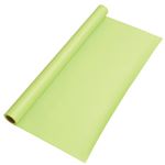 （業務用2セット） ゴークラ 色画用紙 ジャンボロールR 212 黄緑