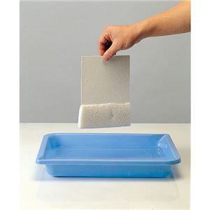 （業務用10セット） BSS スポンジペーパー 200×290mm