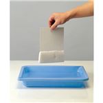 （業務用20セット） BSS スポンジペーパー 200×140mm