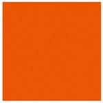 （業務用20セット） 菅公工業 タックカラーシールいろがみ ミ667 橙