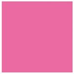 （業務用20セット） 菅公工業 タックカラーシールいろがみ ミ668 桃