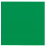 （業務用20セット） 菅公工業 タックカラーシールいろがみ ミ669 緑