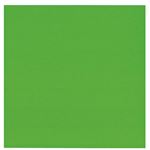 （業務用20セット） 菅公工業 タックカラーシールいろがみ ミ670 黄緑