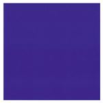 （業務用20セット） 菅公工業 タックカラーシールいろがみ ミ676 紫