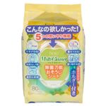（業務用20セット） ハッソー ホルダー付除菌万能おそうじシート80枚本体