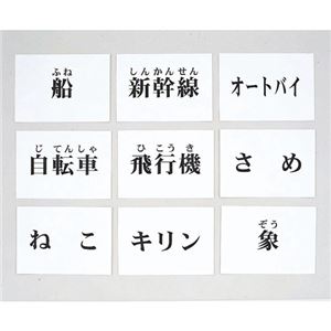 DLM 言語訓練文字カード 生物・乗物 2214S-M 商品写真