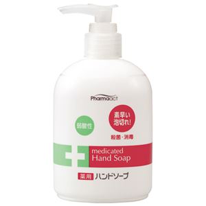 （まとめ） 熊野油脂 ファーマアクト液体ハンドソープ本体 250mL【×30セット】