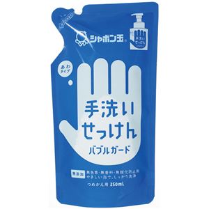 （まとめ） シャボン玉石けん 手洗いせっけんバブルガード詰替用250ml【×10セット】