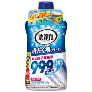 （まとめ） エステー 洗浄力 洗たく槽クリーナー 550g【×30セット】