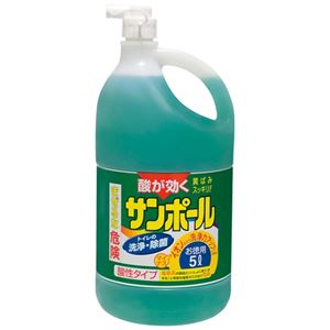 （まとめ） 大日本除蟲菊 サンポール 3L【×10セット】