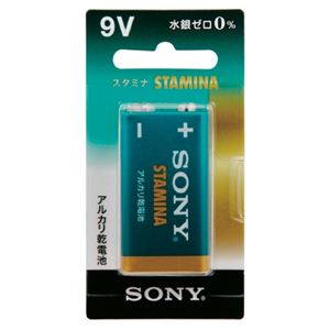 （まとめ） ソニー アルカリ乾電池スタミナ9V 6LR61SG-BHD【×10セット】