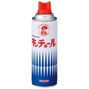 （まとめ） 大日本除蟲菊 家庭用殺虫剤 キンチョール 450mL【×10セット】