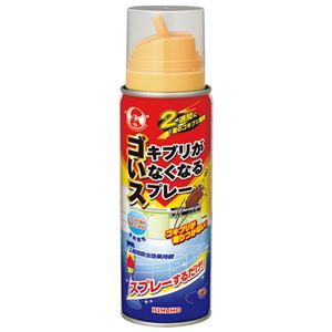 （まとめ） 大日本除蟲菊 ゴキブリがいなくなるスプレー 200mL【×10セット】