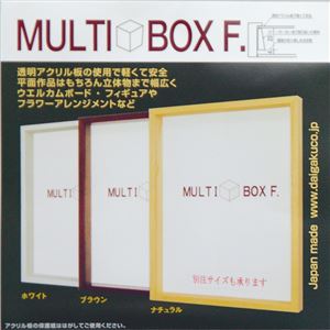 大額 OA額 MULTI BOX F OA-A4 ナチュラル アクリル 【24.6×34.4×4.8cm】 商品写真2