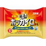 興和新薬 ホッカイロ 貼るミニ10個 × 5 点セット