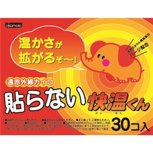 オカモト はらない快温くんレギュラー30コ入 × 3 点セット