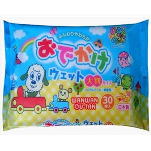 【ケース販売】 昭和紙工 いないいないばぁおでかけウエット大判サイズ30枚 × 30 点セット