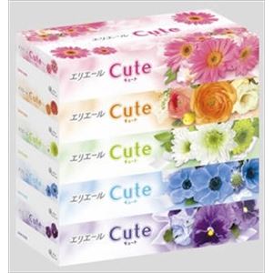 【ケース販売】 大王製紙 エリエールキュート160W×5P × 12 点セット