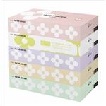 【ケース販売】 王子ネピア ネピネピティシュ160組*5個パック × 12 点セット