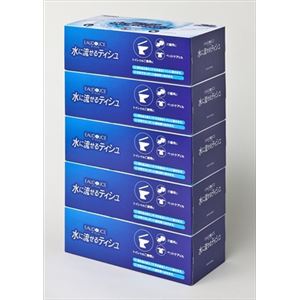 【ケース販売】 大王製紙 新オーデュスティシュ5P × 10 点セット