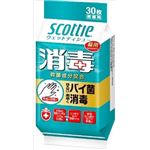 【ケース販売】 日本製紙クレシア スコツテイ ウエツトテイシユー 消毒 30枚 × 24 点セット