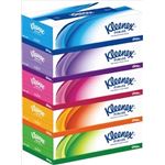 【ケース販売】 日本製紙クレシア クリネックスティシュー 5箱パック × 12 点セット