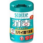 【ケース販売】 日本製紙クレシア スコツテイ ウエツトテイシユー 消毒 80枚 × 12 点セット