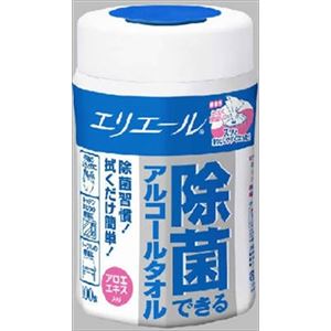 【ケース販売】 大王製紙 E除菌アルコールタオル本体100枚 × 12 点セット
