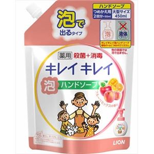 【ケース販売】 ライオン キレイキレイ薬用泡HSフルーツミックス つめかえ用大型サイズ × 16 点セット