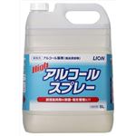 【ケース販売】 ライオンハイジーン ハイアルコールスプレー5L × 2 点セット
