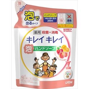 【ケース販売】 ライオン キレイキレイ薬用泡HSフルーツミックス つめかえ用 × 24 点セット
