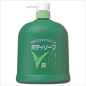 【ケース販売】 牛乳石鹸共進社 カウブランドアロエボディソープ1200ml × 6 点セット