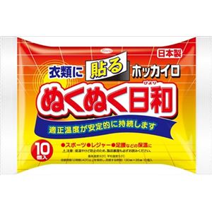 【ケース販売】 興和新薬 ホッカイロ ぬくぬく日和 貼るレギュラー10個 × 24 点セット