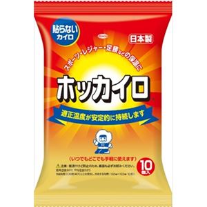 【ケース販売】 興和新薬 ホッカイロ 貼らないレギュラー10個 × 24 点セット