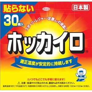 【ケース販売】 興和新薬 ホッカイロ 貼らないレギュラー30個 × 8 点セット
