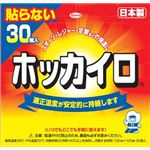 【ケース販売】 興和新薬 ホッカイロ 貼らないレギュラー30個 × 8 点セット