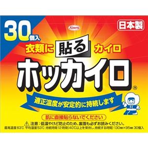 【ケース販売】 興和新薬 ホッカイロ 貼るレギュラー30個 × 8 点セット