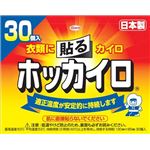 【ケース販売】 興和新薬 ホッカイロ 貼るレギュラー30個 × 8 点セット