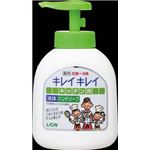 【ケース販売】 ライオン キレイキレイ 薬用キッチンハンドソープ ポンプ250ml × 24 点セット