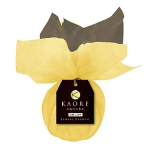 【ケース販売】 ヘルス KAORE炭酸入浴剤フローラルガーデン150g × 48 点セット